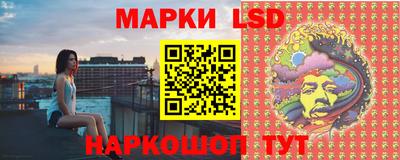 spice Ставрополь