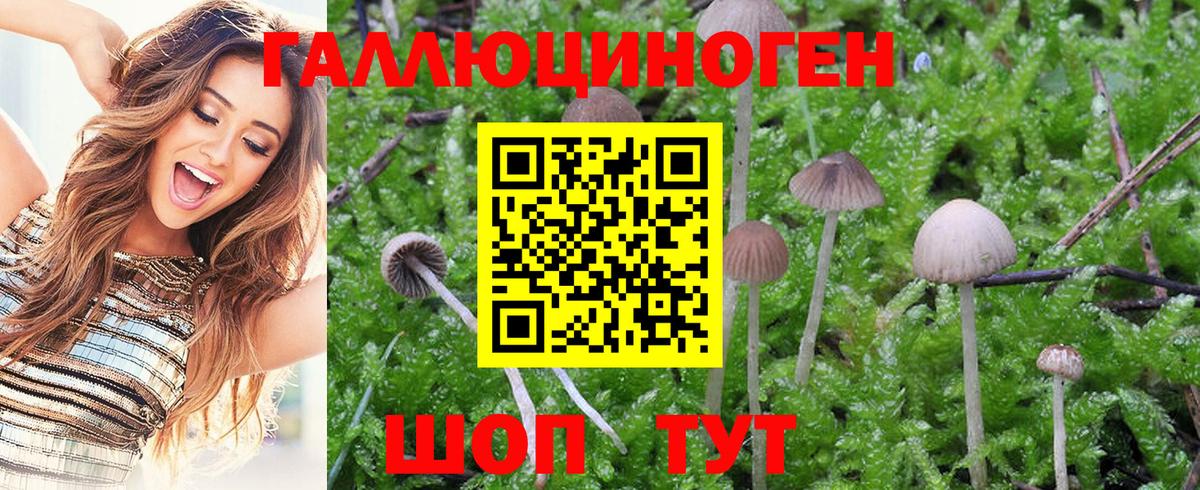 Галлюциногенные грибы GOLDEN TEACHER  Вход с VPN  Мытищи 